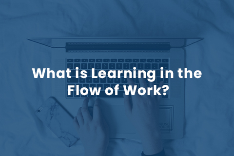 What-is-Learning-in-the-Flow-of-Work