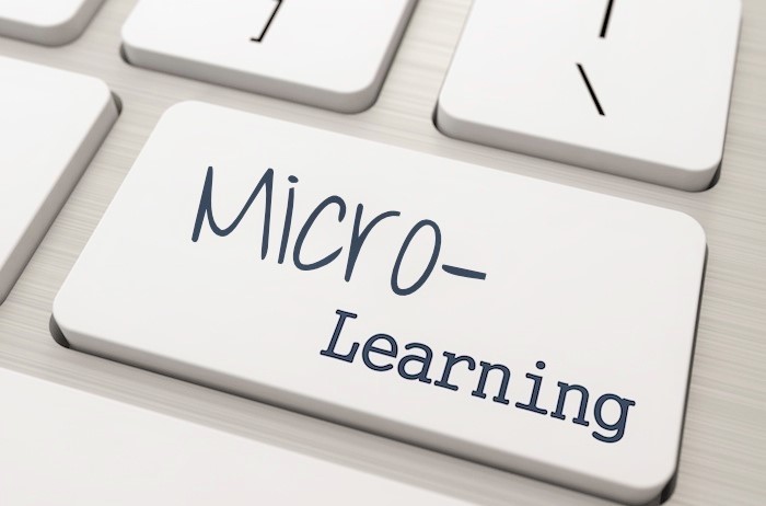 LEARNING INSTITUTIONS AND EMPLOYERS SHOULD USE MICRO LEARNING