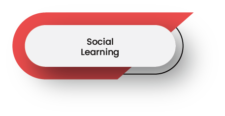 Social Learning image